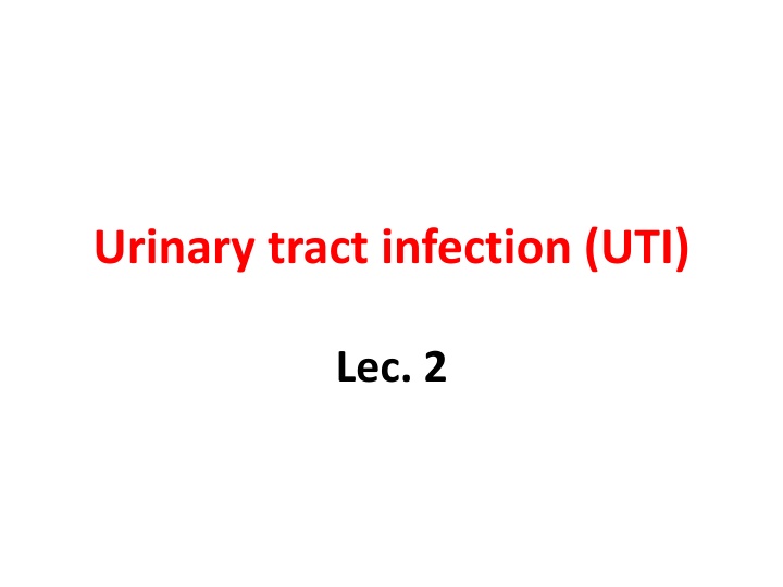 urinary tract infection uti
