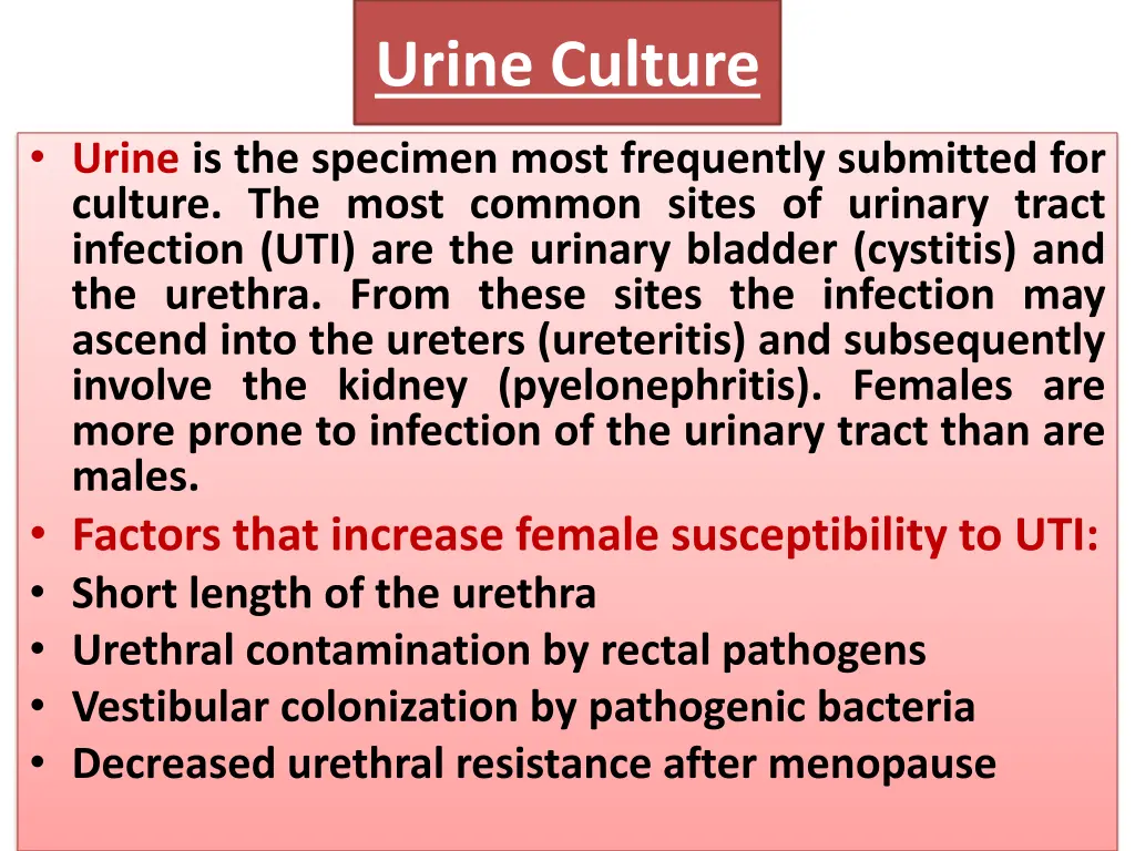 urine culture