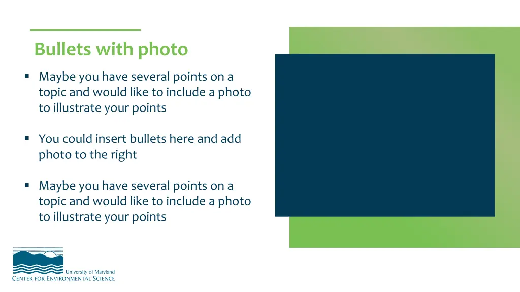 bullets with photo