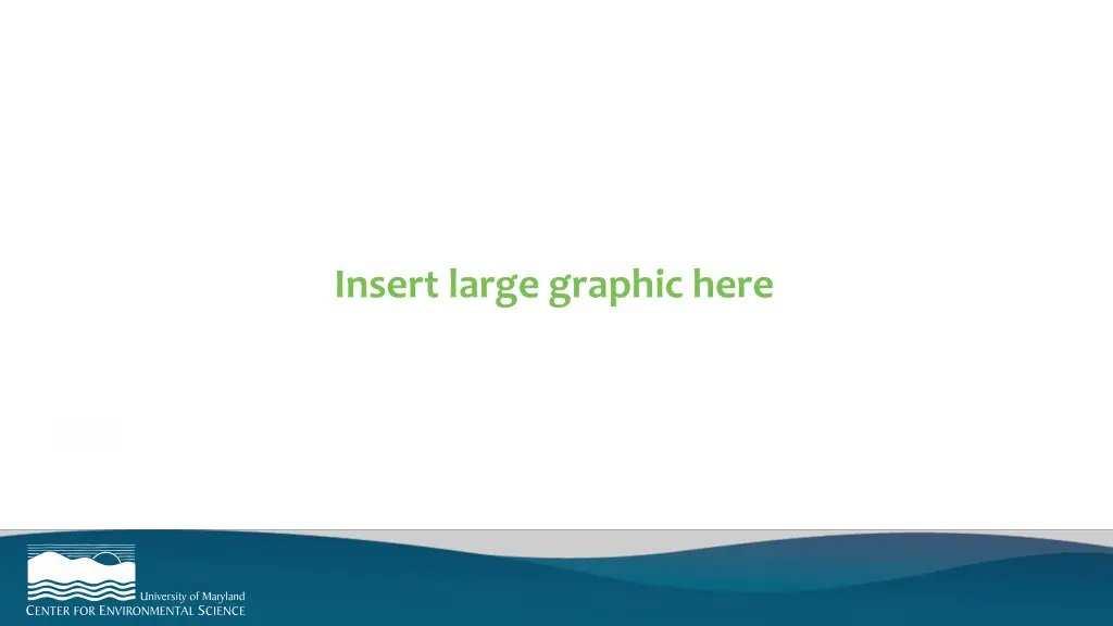 insert large graphic here