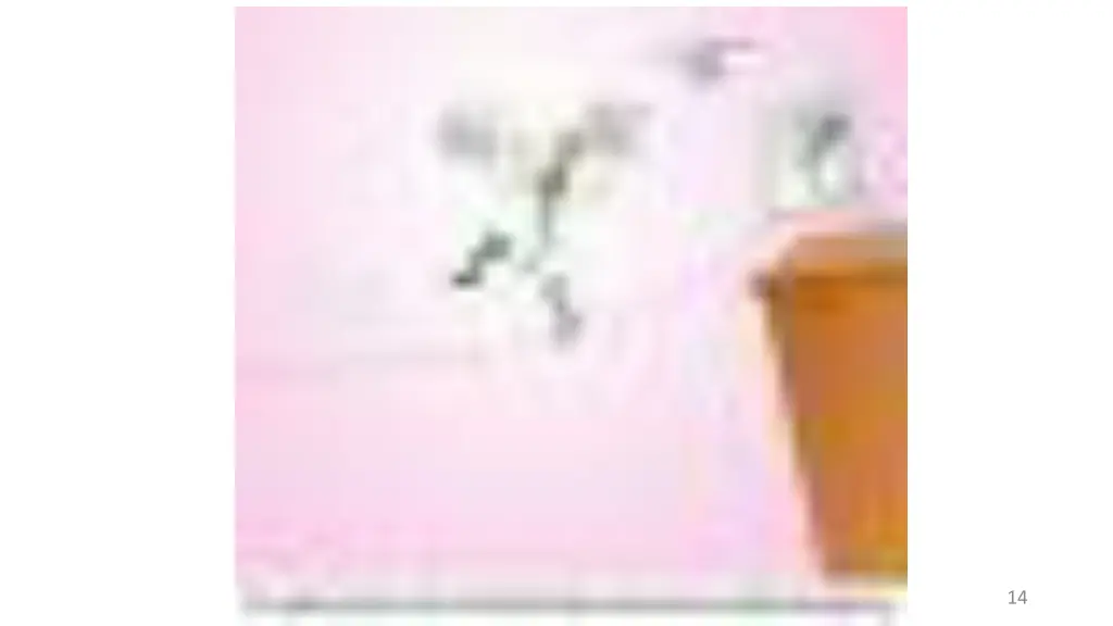 slide14