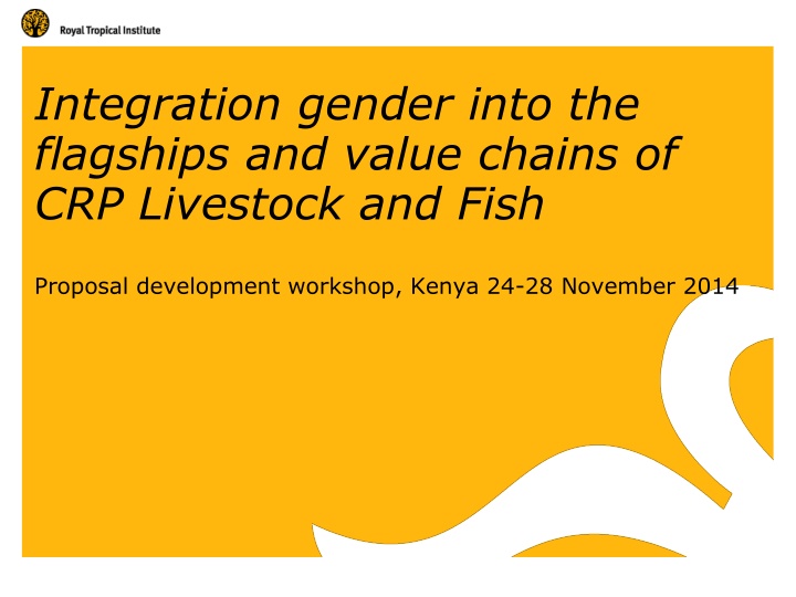integration gender into the flagships and value