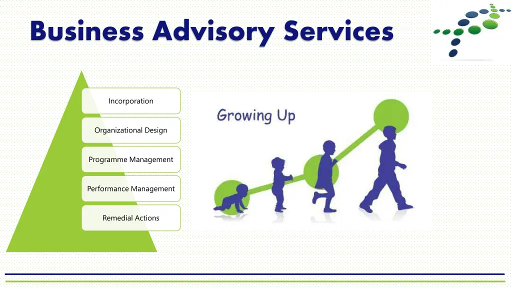 business advisory services