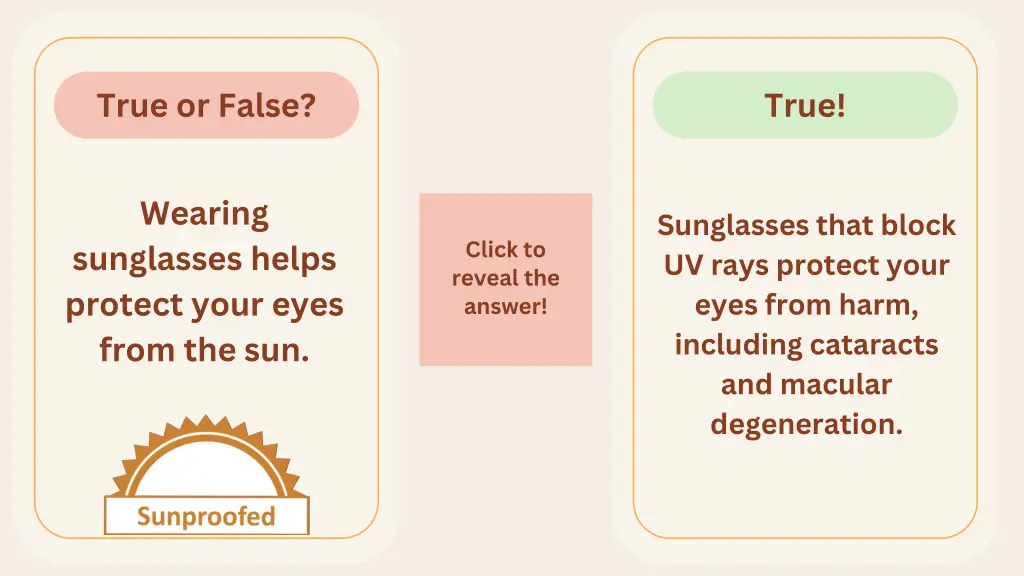 true or false 14