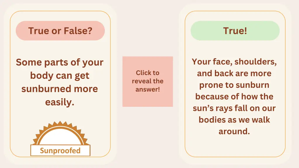 true or false 15