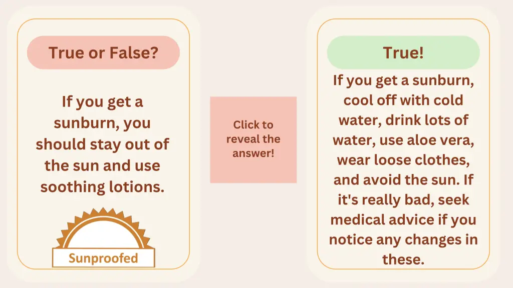 true or false 2
