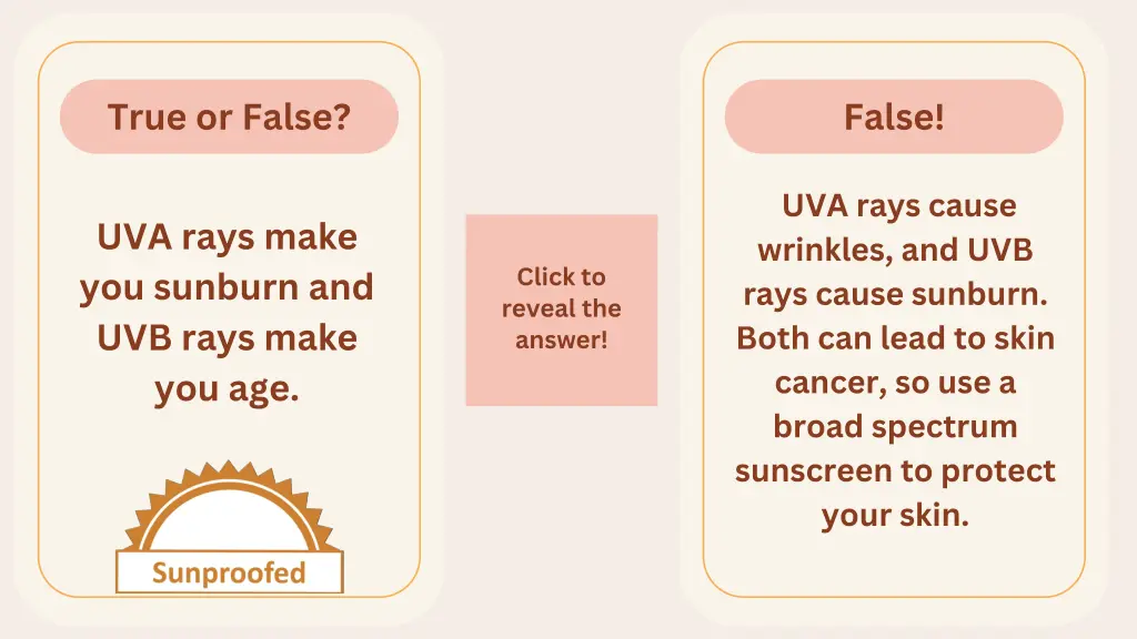 true or false 8
