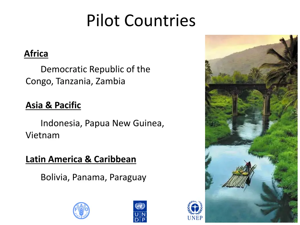 pilot countries