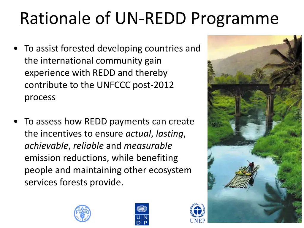 rationale of un redd programme