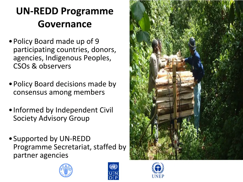 un redd programme governance