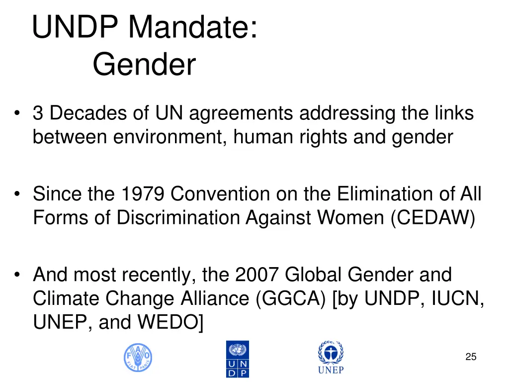 undp mandate gender
