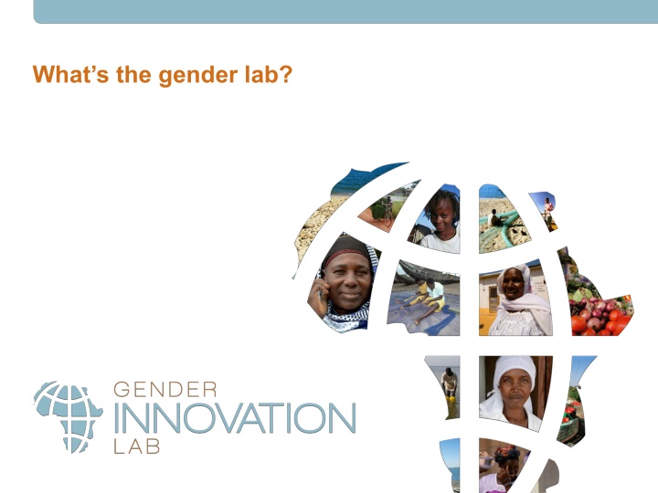 what s the gender lab