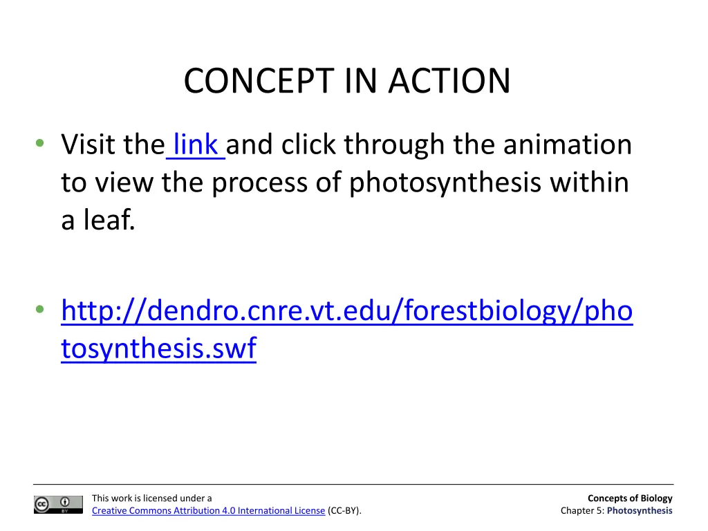 concept in action 1