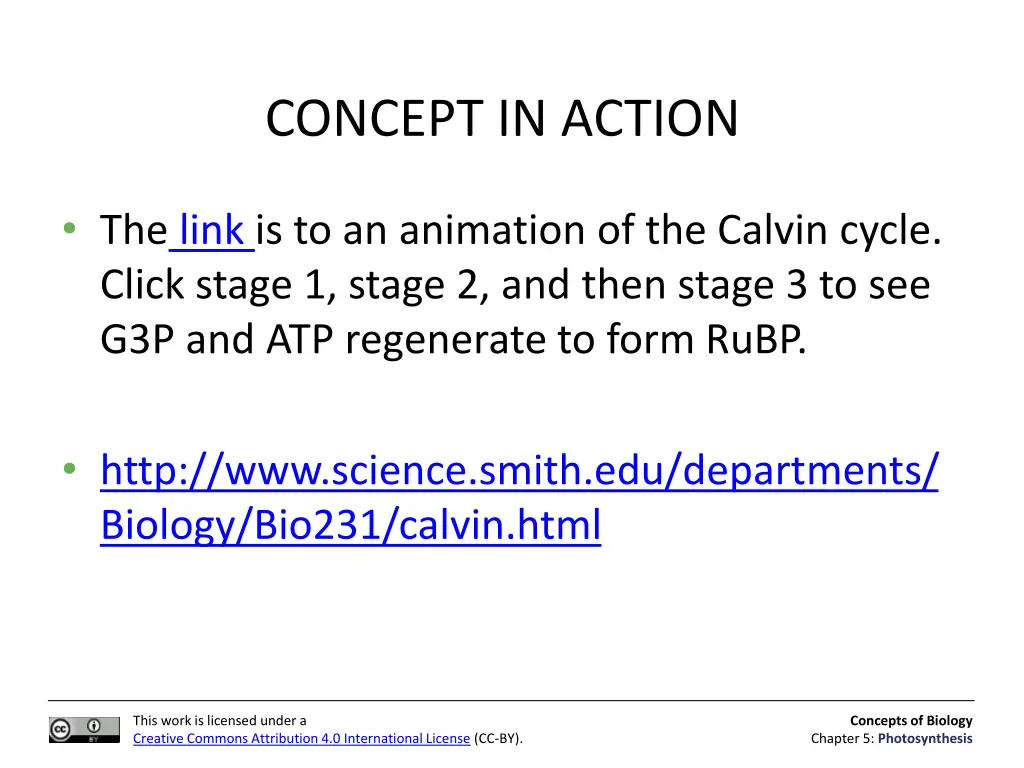concept in action 2