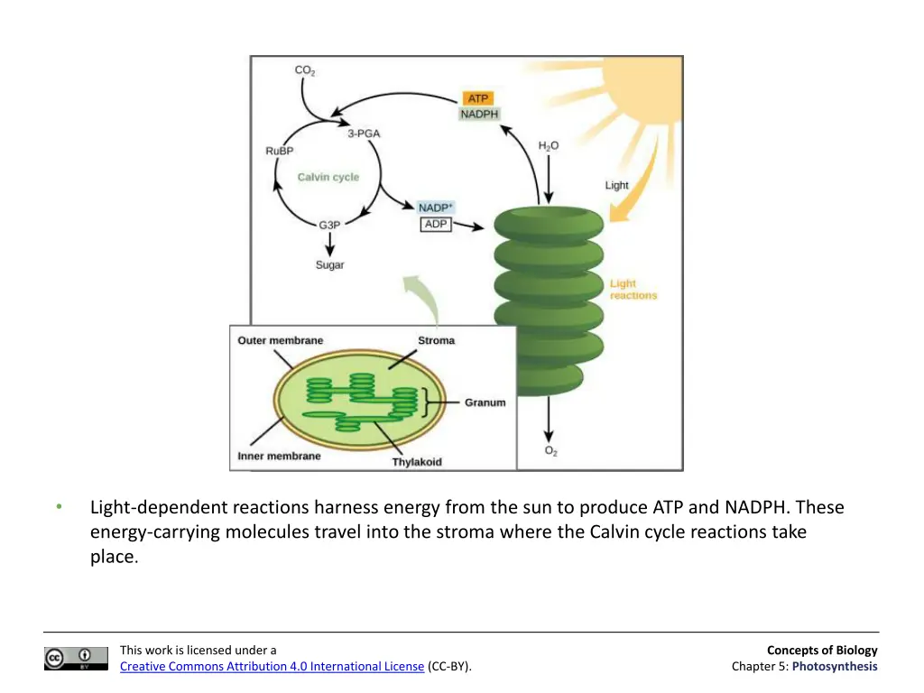 slide16