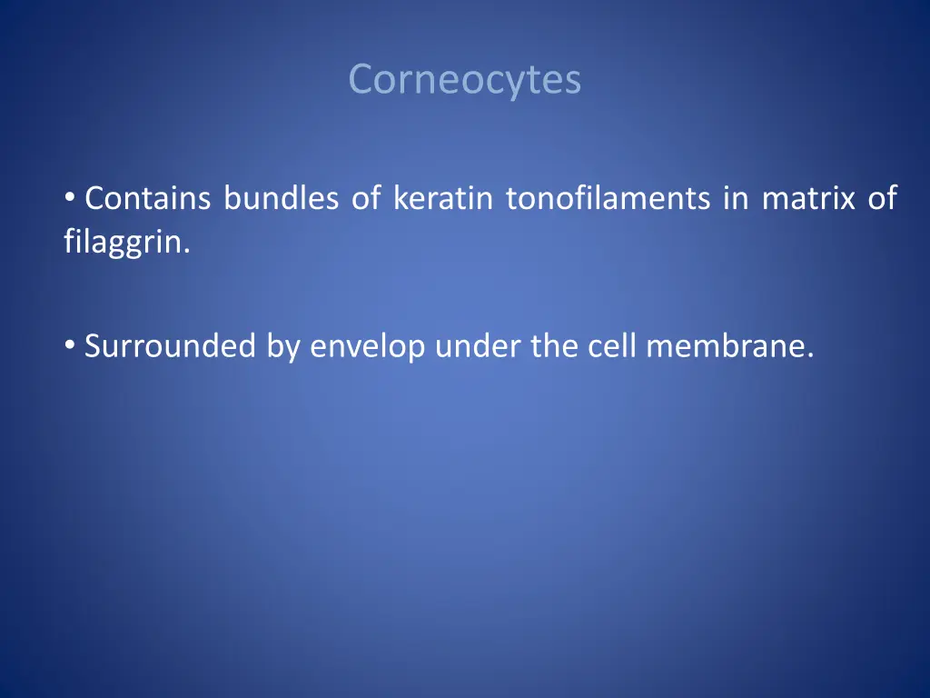 corneocytes