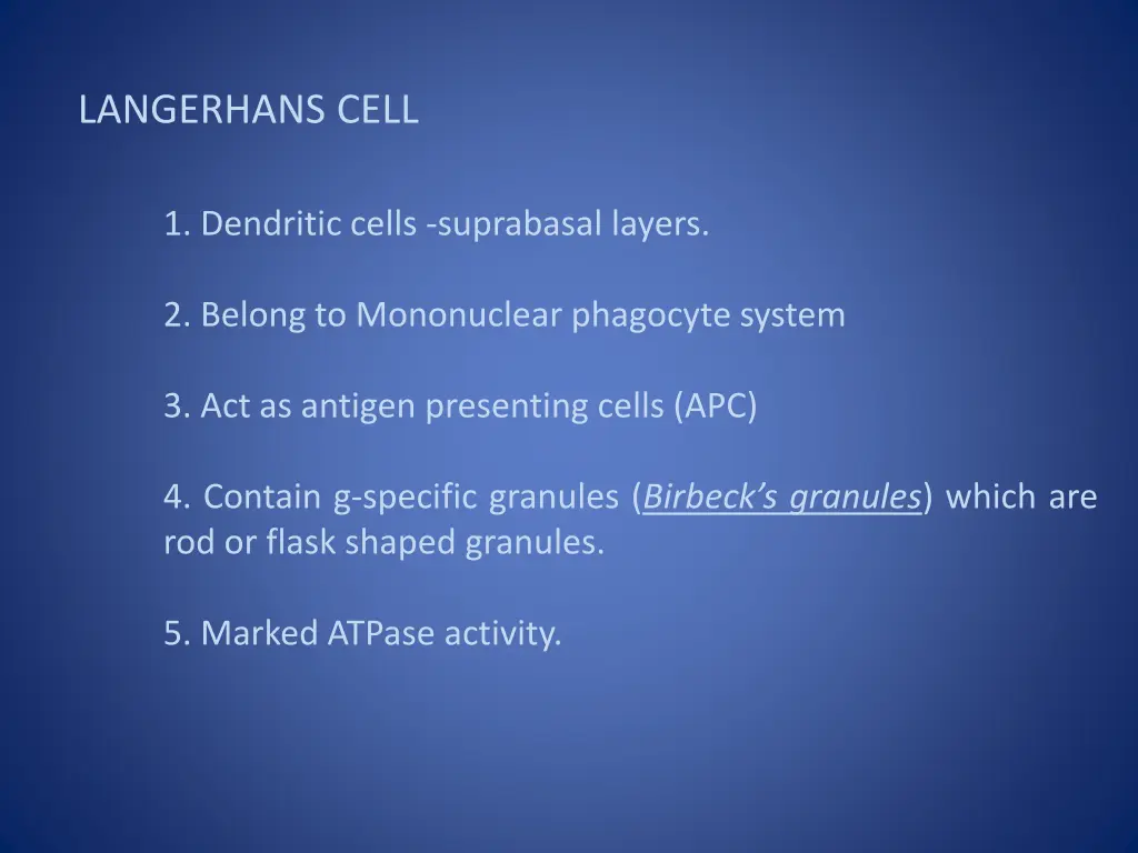 langerhans cell