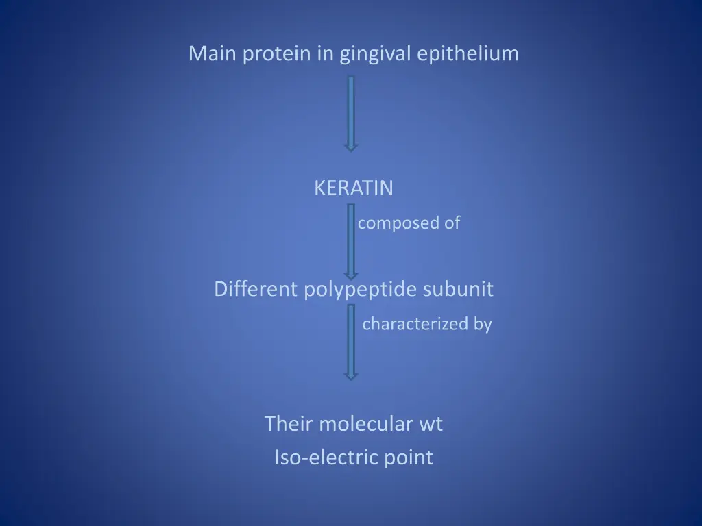 main protein in gingival epithelium