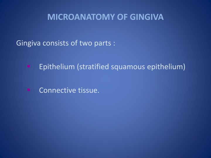 microanatomy of gingiva