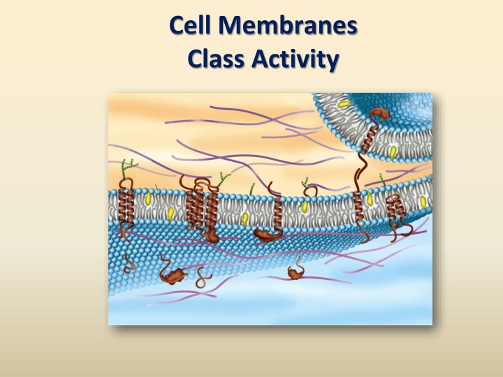 cell membranes class activity