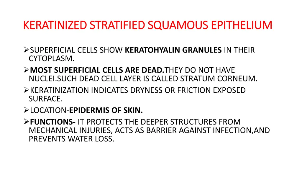 keratinized stratified squamous epithelium