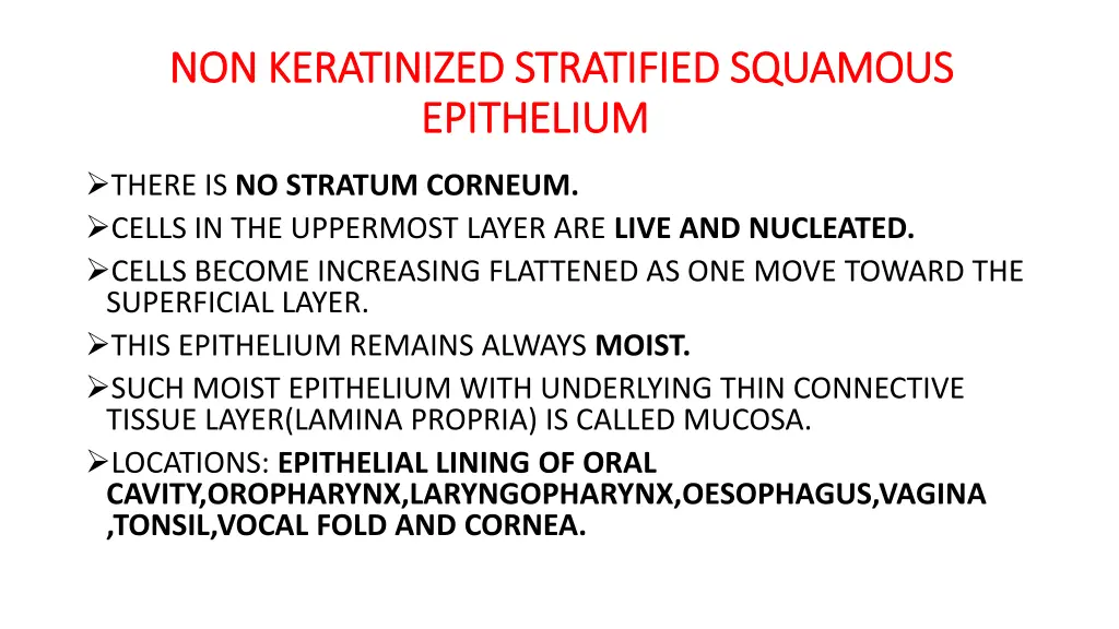 non keratinized stratified squamous