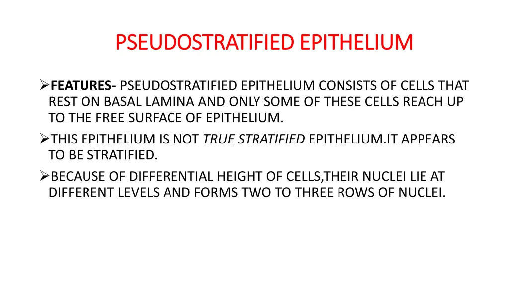 pseudostratified epithelium pseudostratified