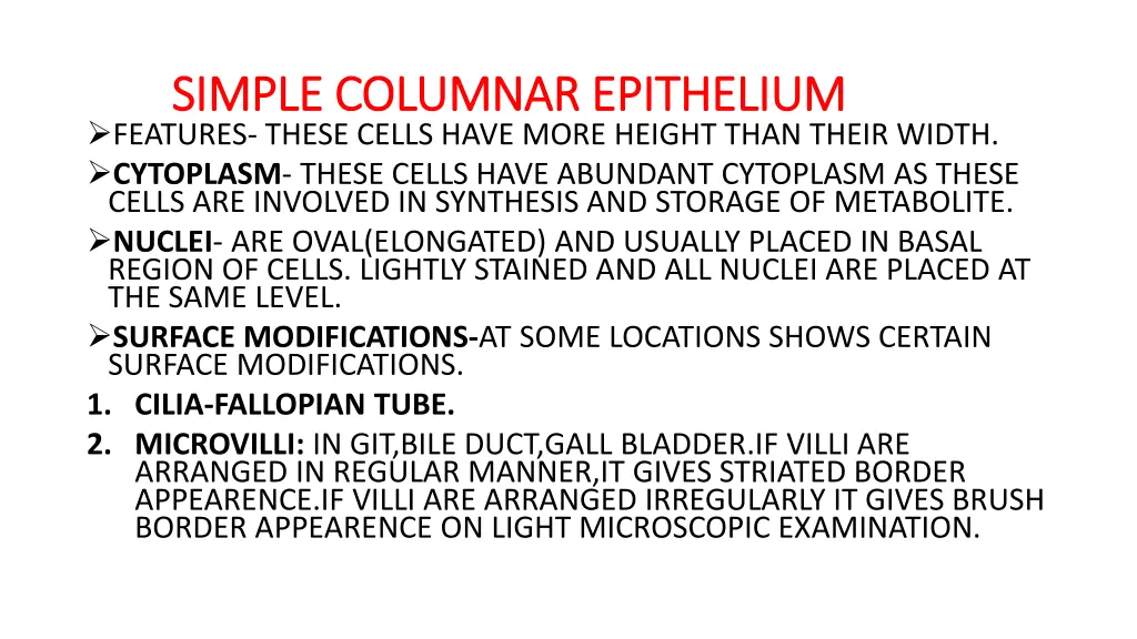 simple columnar epithelium simple columnar