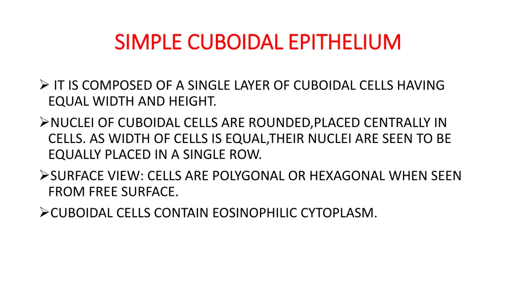 simple cuboidal epithelium simple cuboidal
