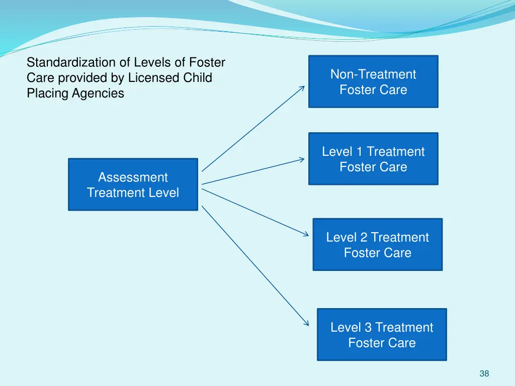 standardization of levels of foster care provided