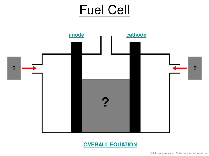 fuel cell