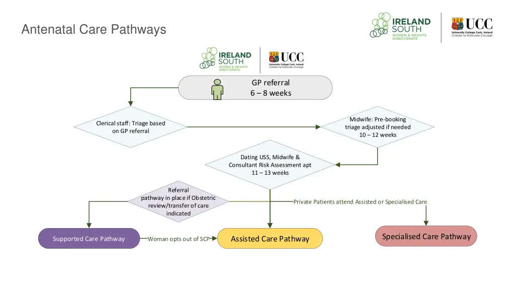 antenatal care pathways 1