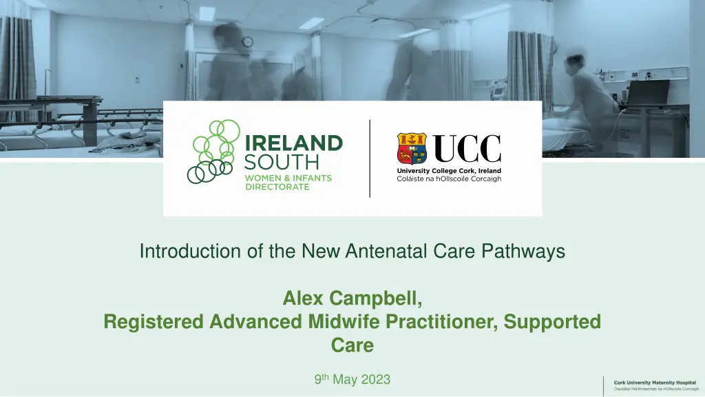 introduction of the new antenatal care pathways