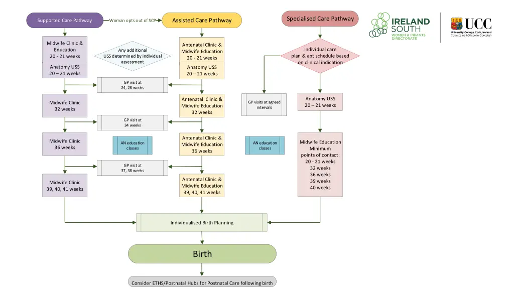 specialised care pathway