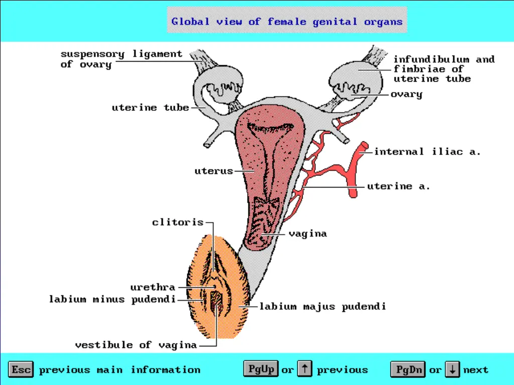 slide5