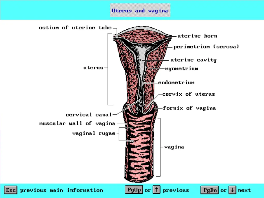 slide6