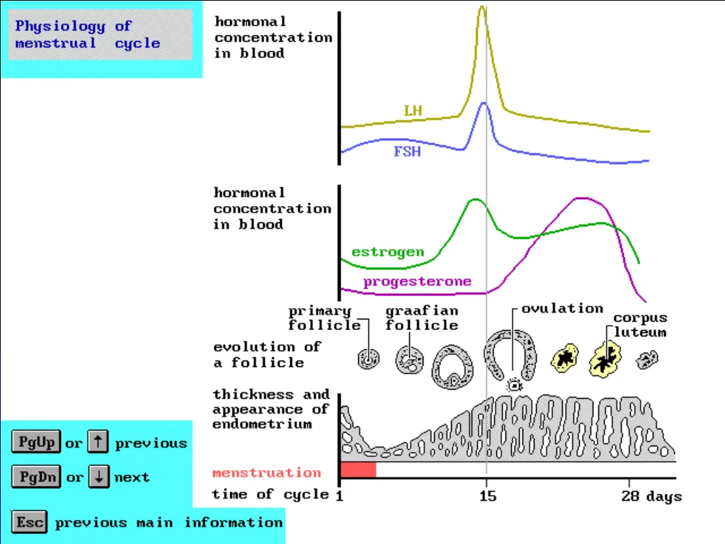 slide8