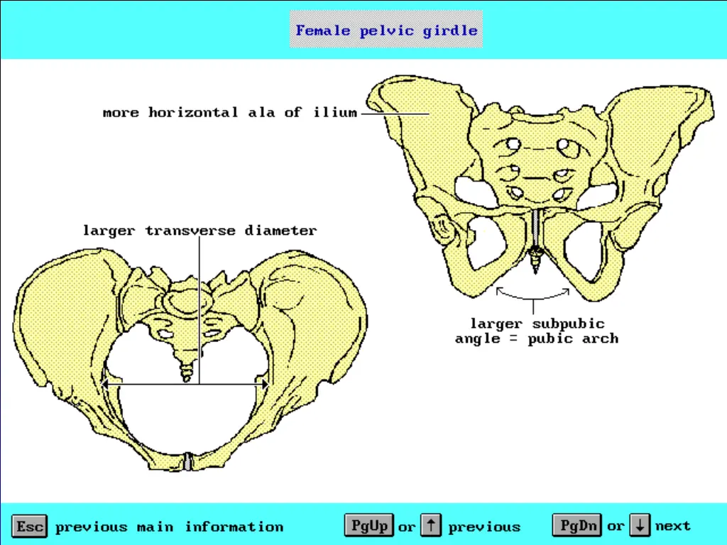 slide9