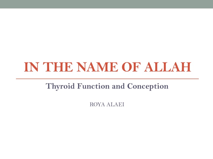 in the name of allah