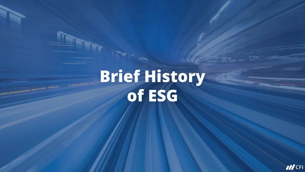 brief history of esg