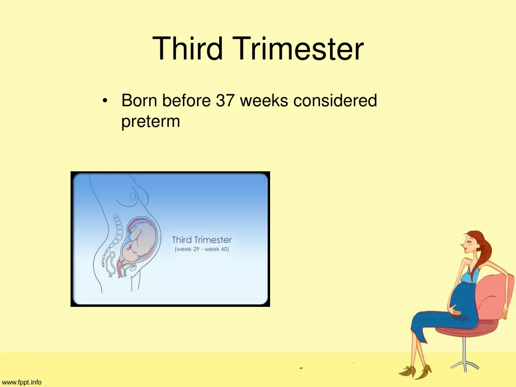 third trimester