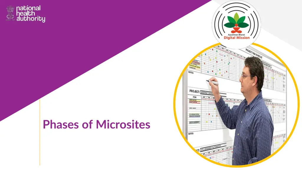 phases of microsites