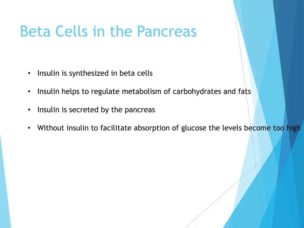 beta cells in the pancreas