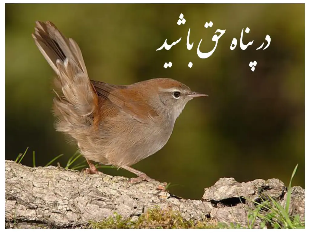 slide34
