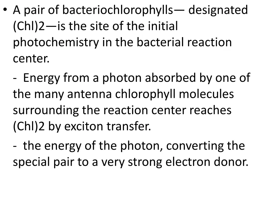 a pair of bacteriochlorophylls designated