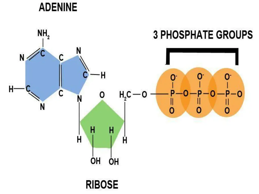 slide26