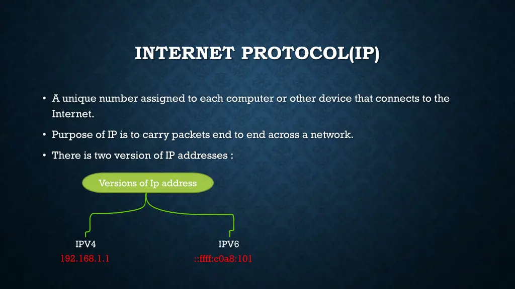 internet protocol ip