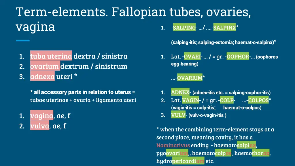 term elements fallopian tubes ovaries vagina