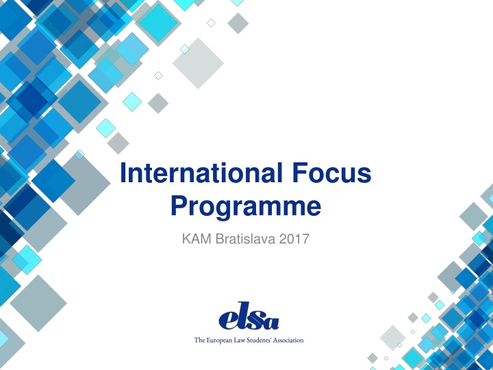 international focus programme