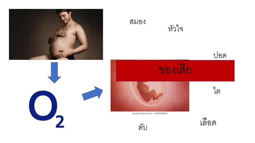 slide6
